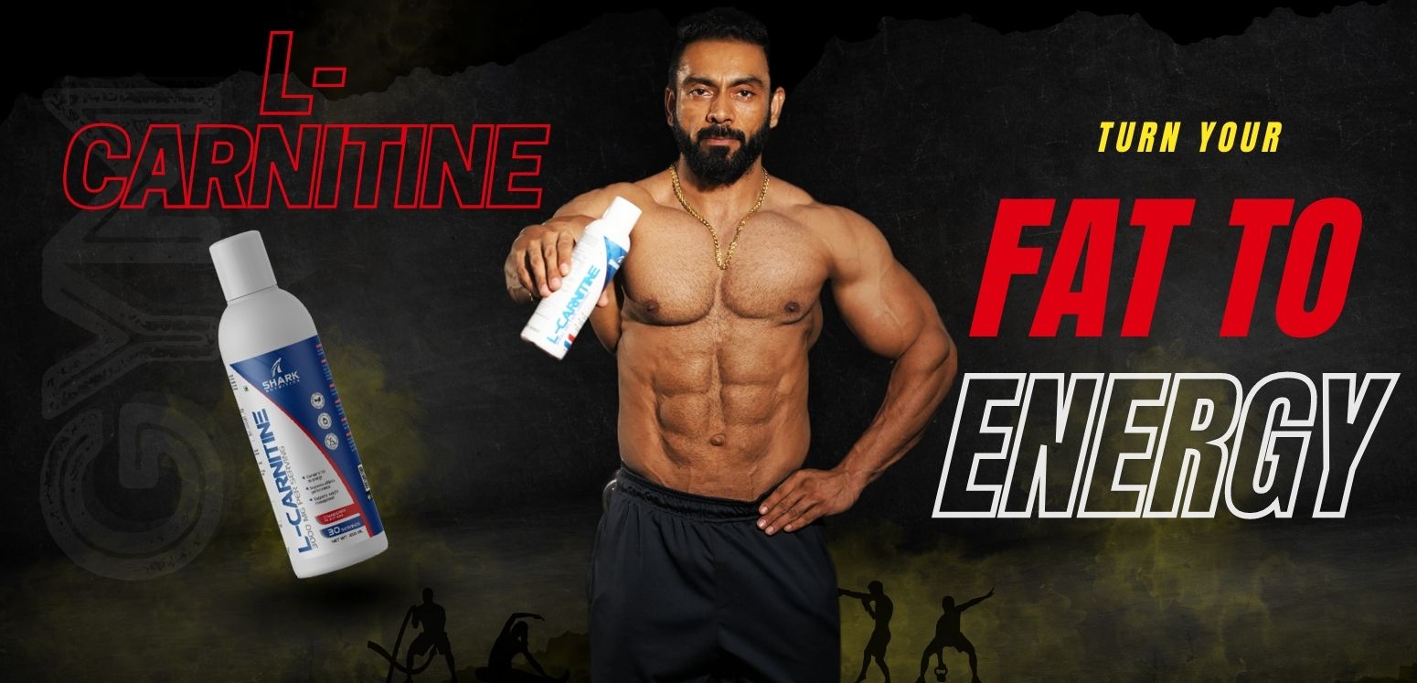 L- Carnitine by Shark Nutrition